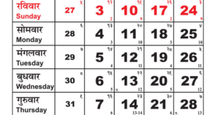 Rajasthan Government Calendar November 2024
